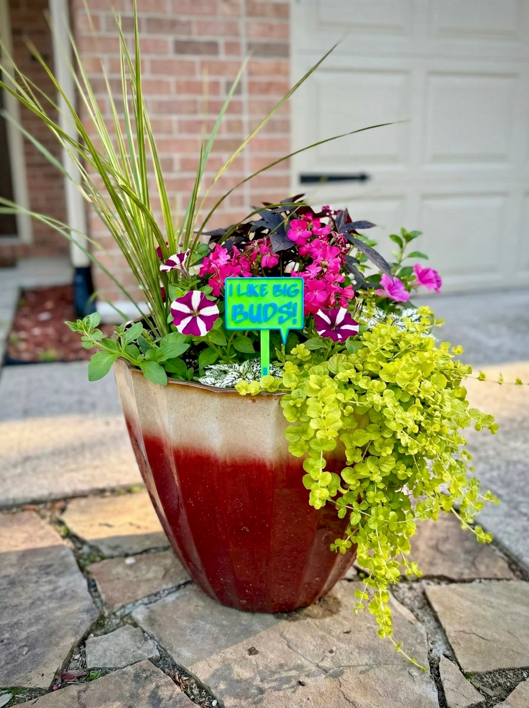 3D-printed pot pick in teal with green raised text reading 'I Like Big Buds' in a glazed planter with petunias and creeping jenny