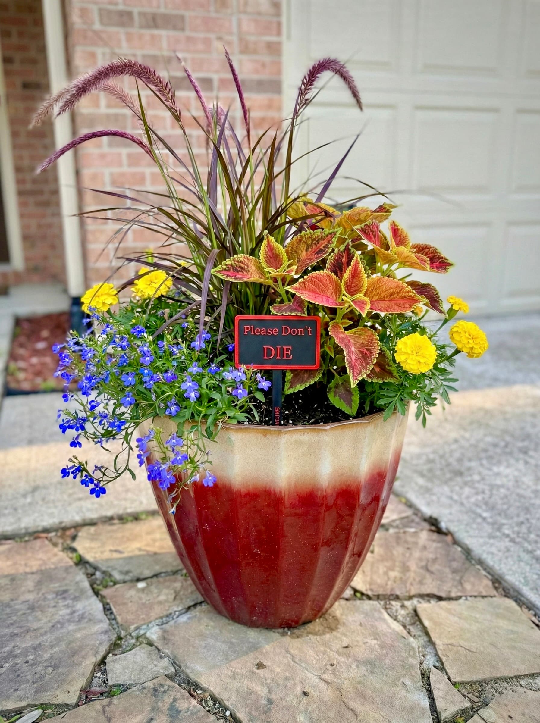 3D-printed pot pick in black with red raised text reading 'Please Don't Die' in a glazed planter with coleus, lobelia, and marigolds