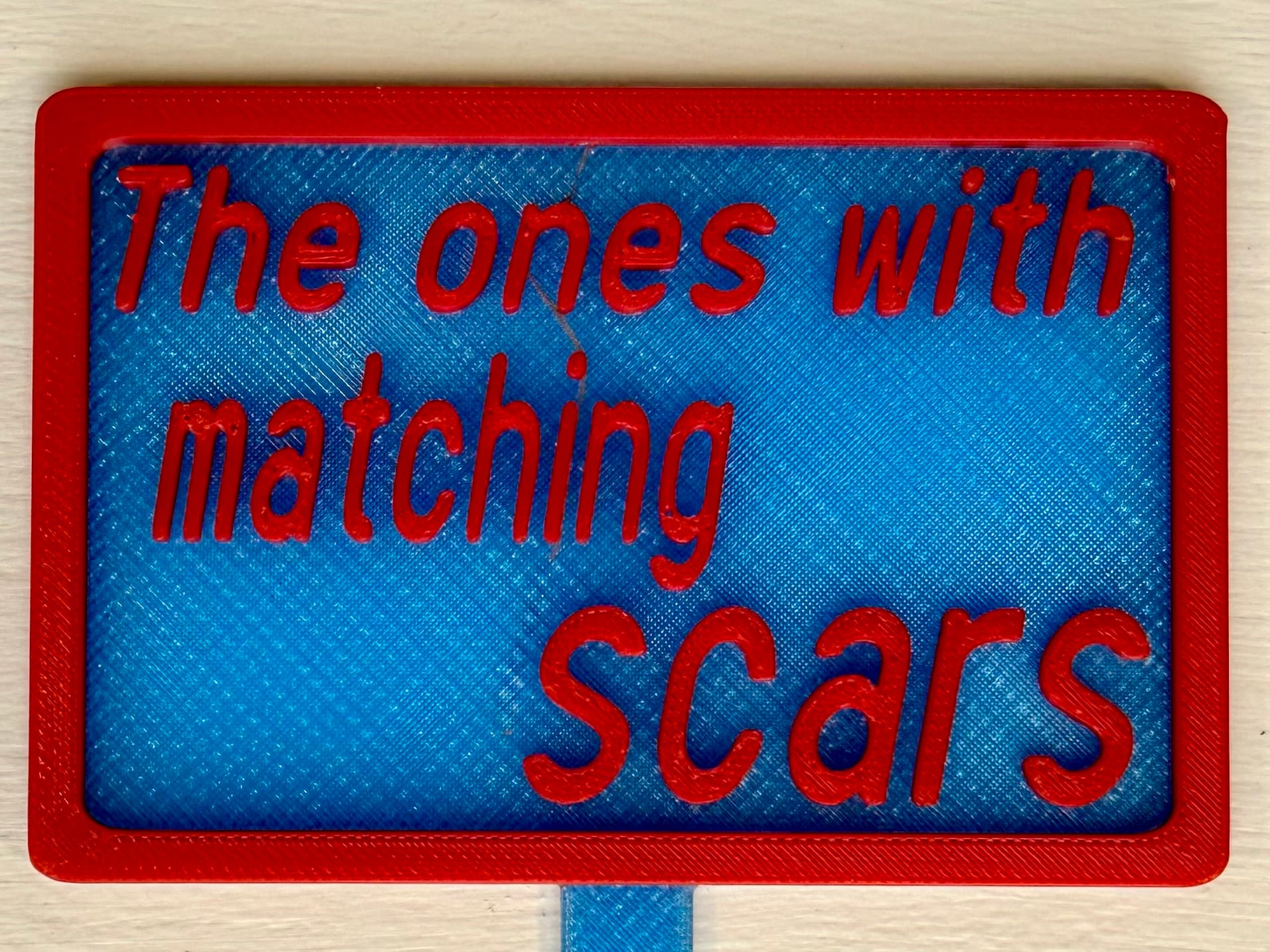 3D-printed pot pick with raised text reading 'The Ones with Matching Scars'