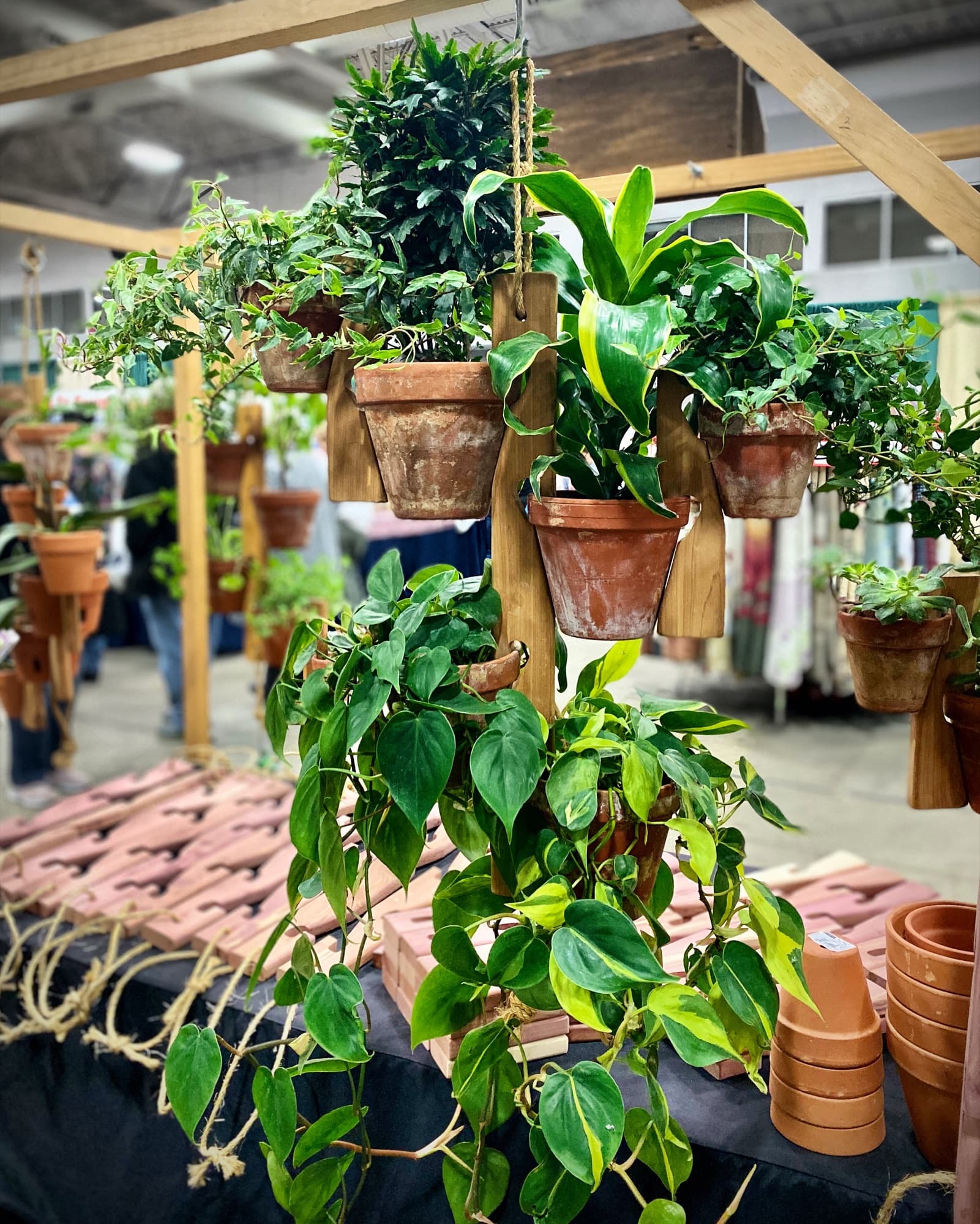 Cedar Pot Slot 3-piece hanger set fully loaded with trailing pothos, ivy, and houseplants in terra cotta pots hanging at an indoor market