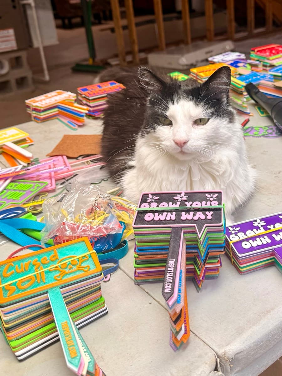 The Pot Slot shop cat lounging on a table covered in colorful 3D-printed pot picks in the workshop