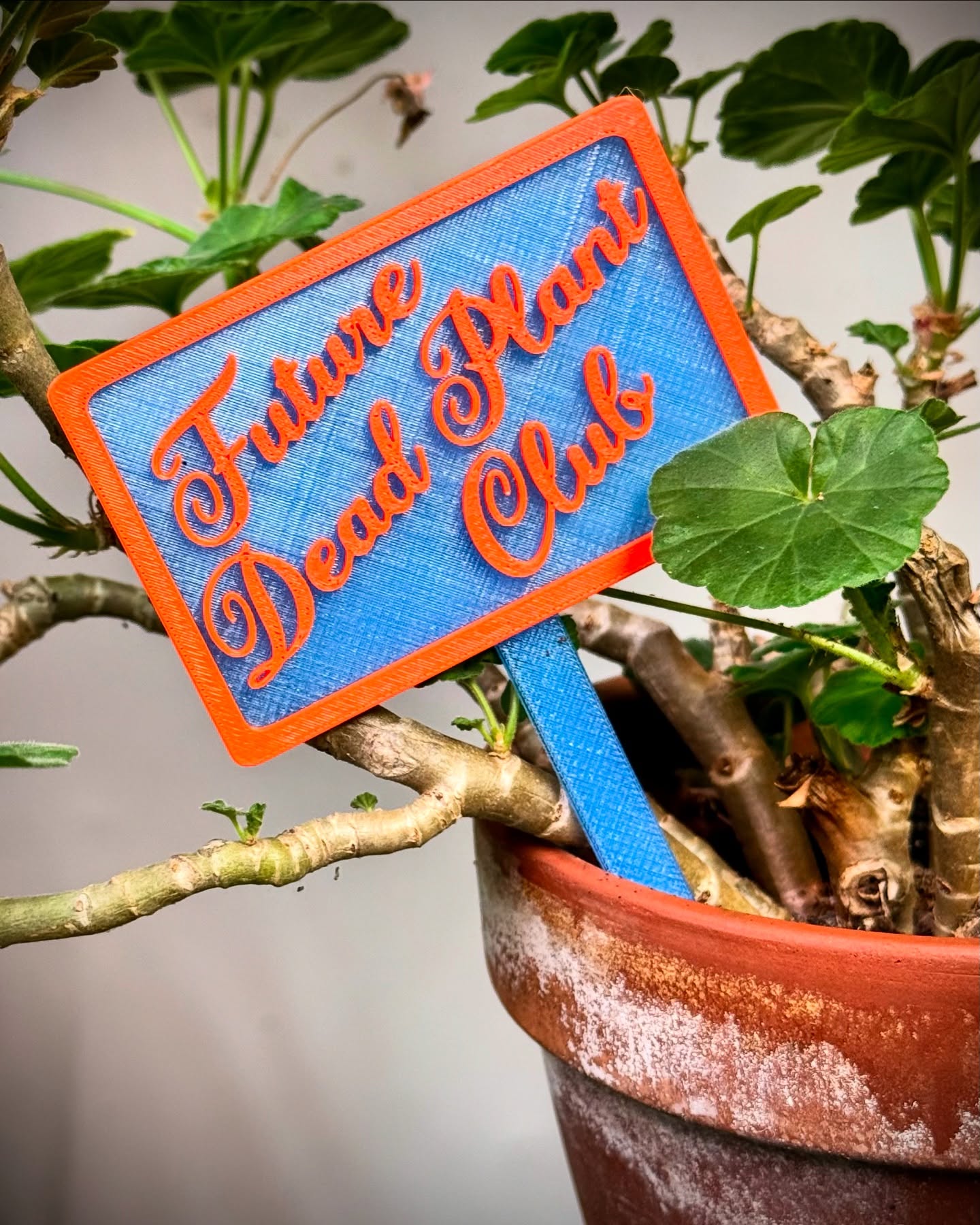 3D-printed pot pick reading Future Dead Plant Club in a terra cotta pot