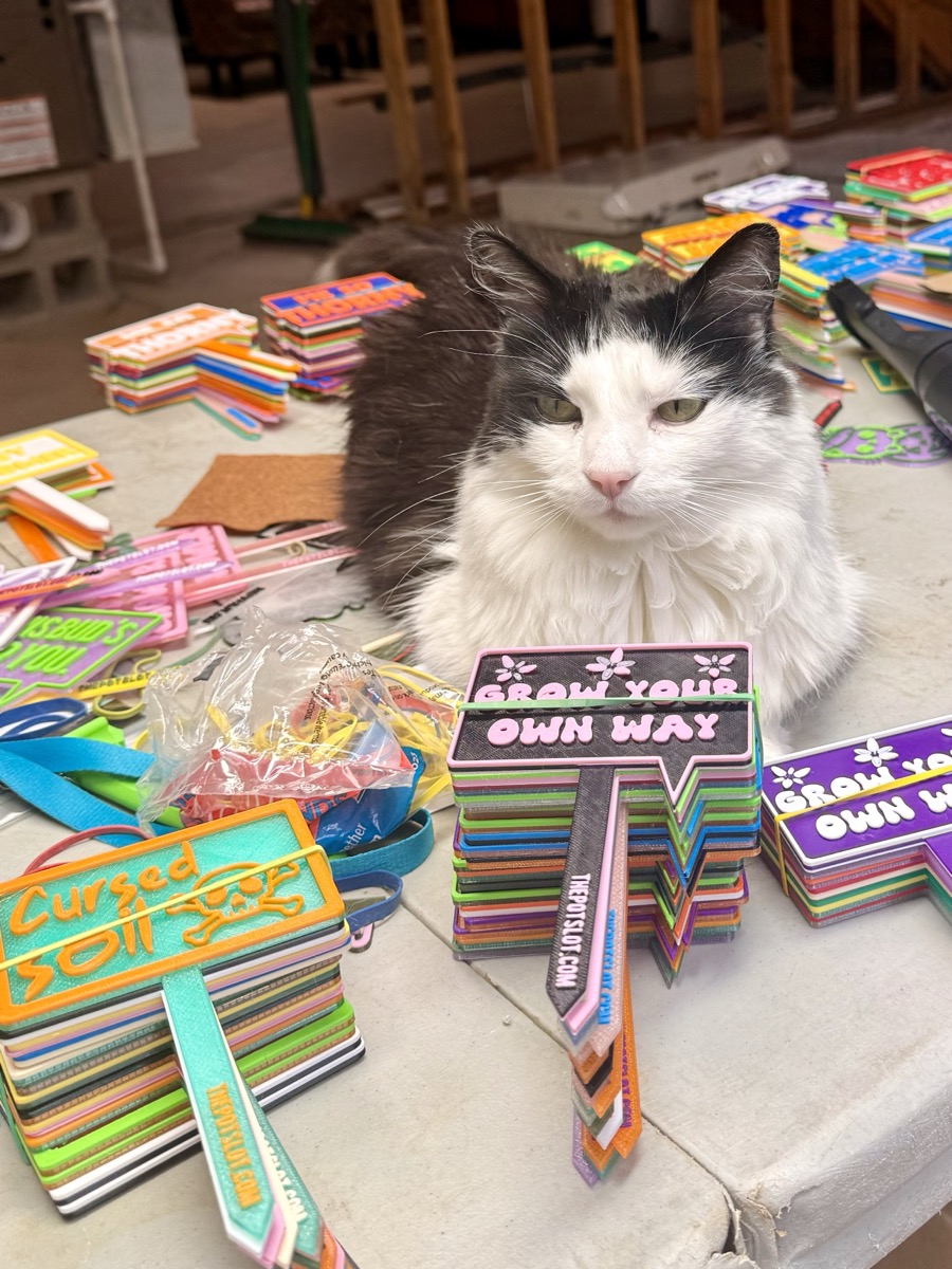 The Pot Slot shop cat lounging on a table covered in colorful 3D-printed pot picks in the workshop